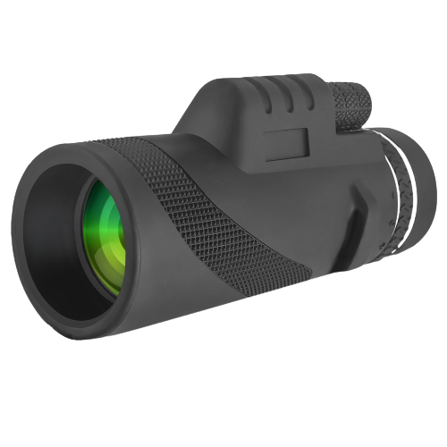 camera1